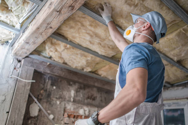 Best Commercial Insulation in Spencerville, NM